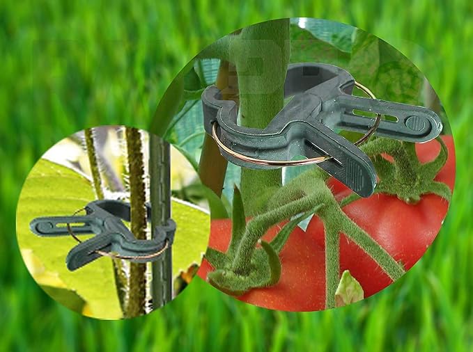 Plant Clips Green Gentle Gardening Plant & Flower Lever Loop Gripper Clips - Image 4