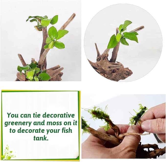 PINVNBY Natural Driftwood for Aquarium Fish Tank Decorations Assorted Branches - Image 5