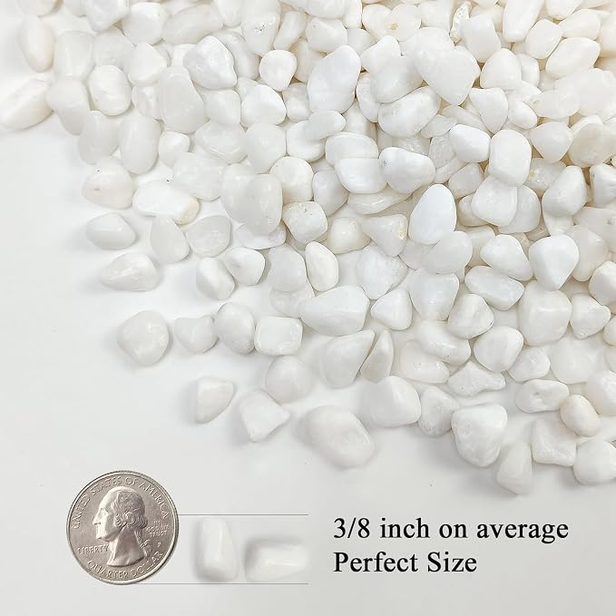 FANTIAN 5 lbs White Pebbles for Indoor Plants, 3/8 Inch Decorative White Gravel - Image 2