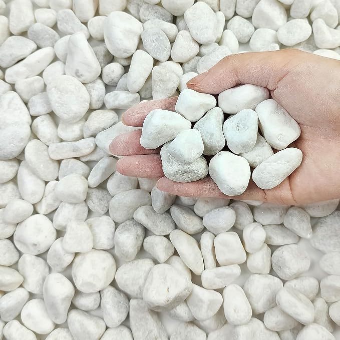 FANTIAN 10 lbs White River Rocks by FANTIAN-GardeningMakesLifeBetter
