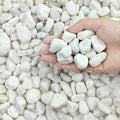 FANTIAN 20 lbs White River Rocks by FANTIAN-GardeningMakesLifeBetter