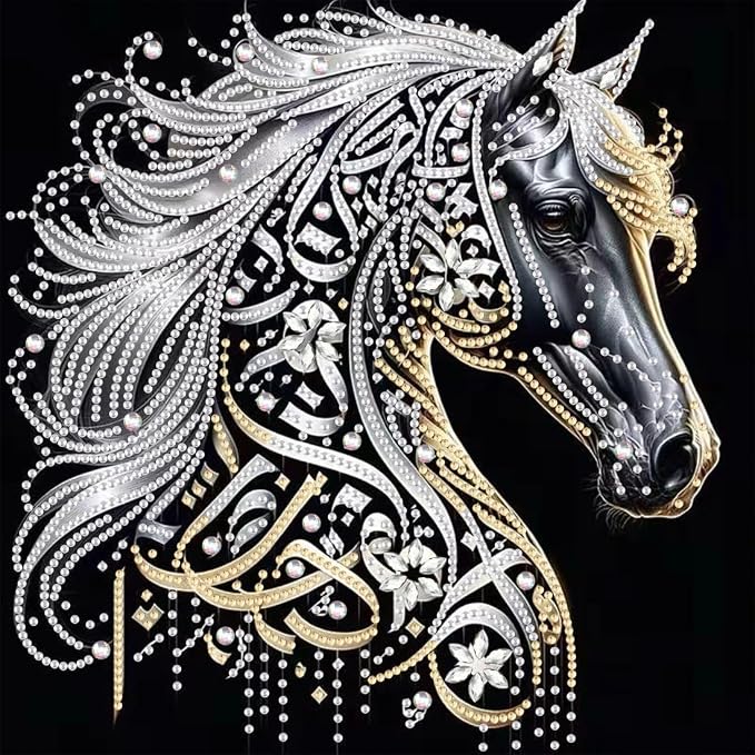 SHICERNHJ Horse Diamond Art Kits by Unknown