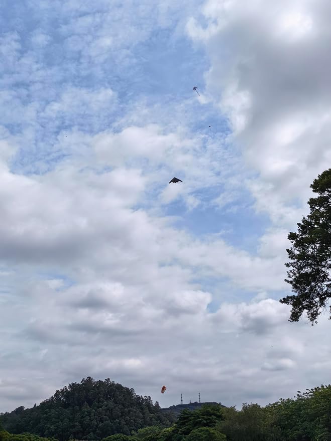B2 Model Airplane Kite, Large Easy to Fly Kites Adults, 300FT String Reel - Image 9
