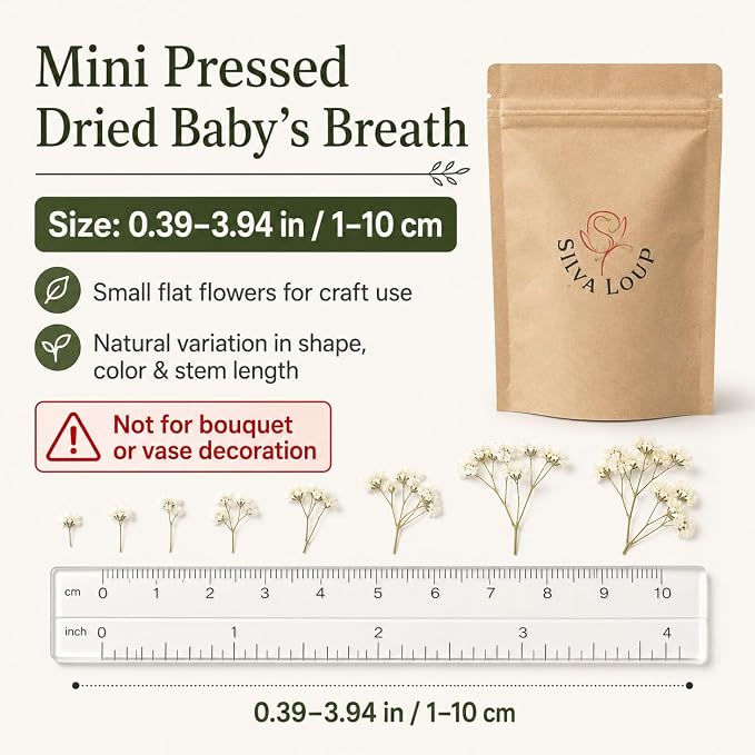 100Pcs Mini Dried Pressed White Baby's Breath Flowers Bulk - Image 2