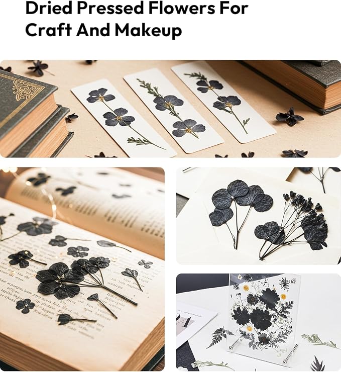 Dried Flowers, Resiners 100Pcs Pressed Flowers - Image 8
