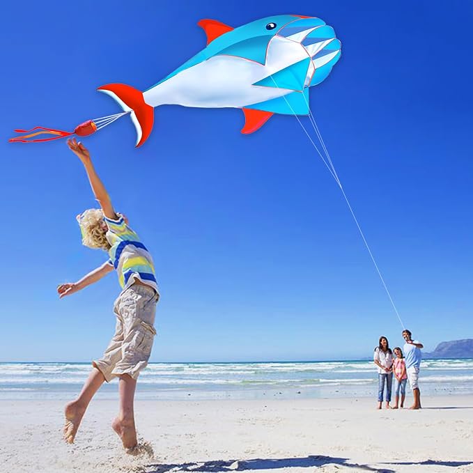 HENGDA KITE 3D Kite for Kids and Adults, Excellent Fabric and Structure - Image 5