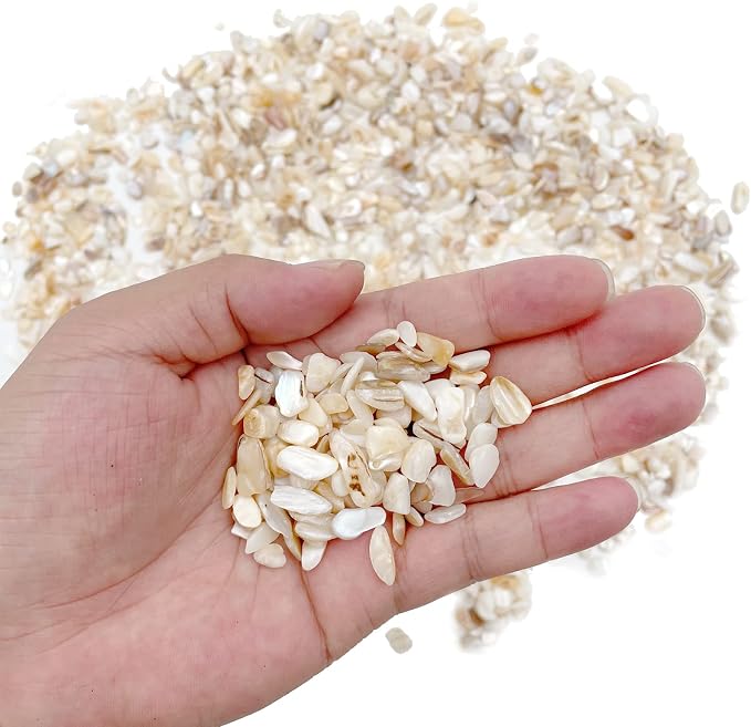 Crushed Shells for Crafts, Sea Shells for Kids DIY Art, Vase Fillers Table - Image 4