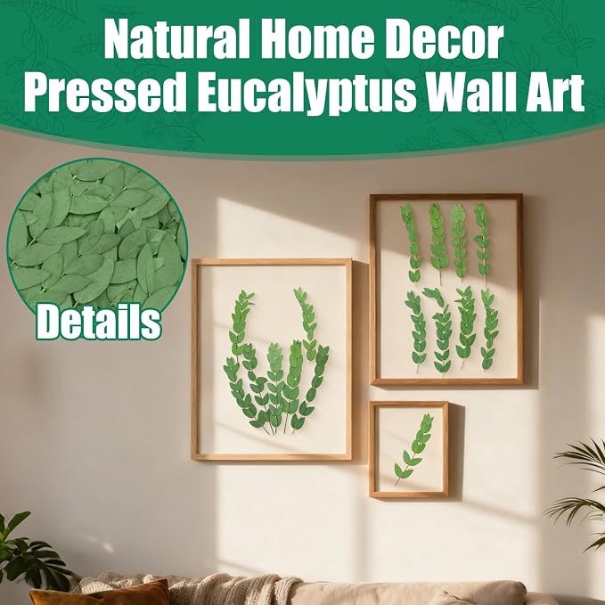 120Pcs Pressed Dried Eucalyptus Leaves - Image 5