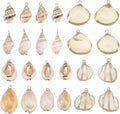 SUNNYCLUE 1 Box 24Pcs 6 Style Electroplate Spiral Seashells Charm Craft Charms by SUNNYCLUE