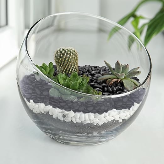Pulovin 5 lbs Black Pebbles for Indoor Plants, 3/8" Plant Rocks for Pots Indoor - Image 6