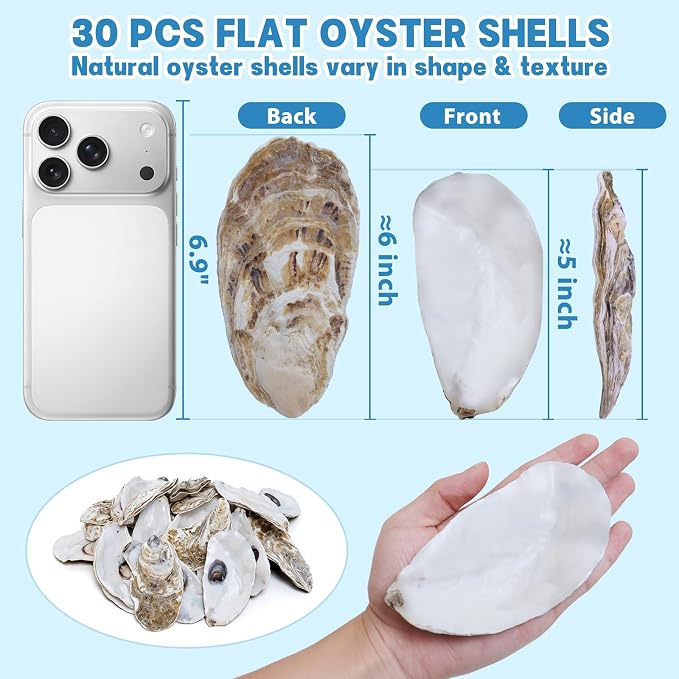 5"-6" 30PCS Extra Large Oyster Shells, Natural Flat Oyster Shells - Image 2