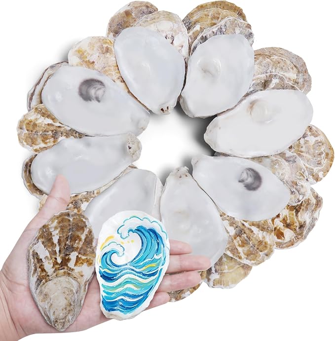 30PCS 3"-4" Flat Oyster Shells, Natural Seashells by DOODLEBEAN