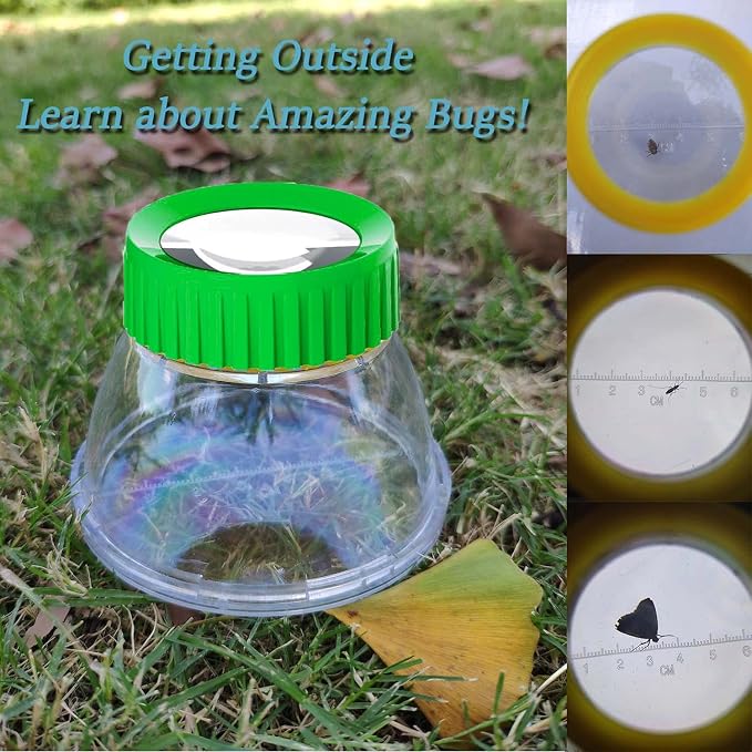 4Pack Green Bug Viewer with 5X Magnifier | Bug Jars - Image 4