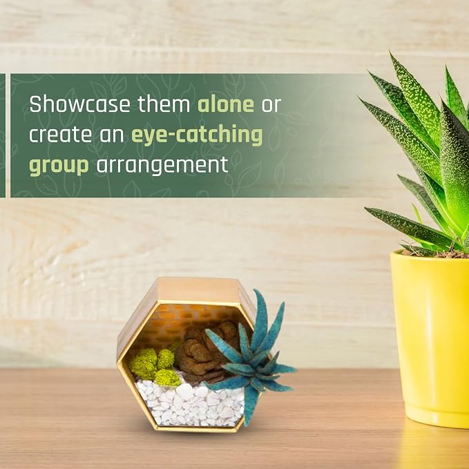 Craft Crush — Mini Plants Terrariums Easy Fun Arts and Craft Kit — Make 3 - Image 6