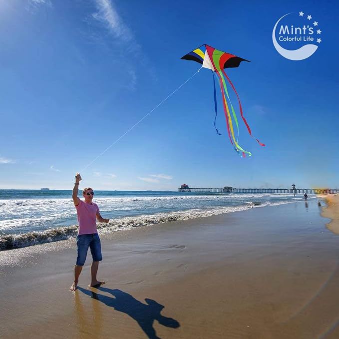 Mint's Colorful Life Delta Kite - Image 4