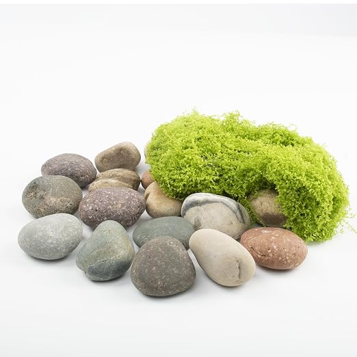 20 LBS River Rocks for Plants - Image 4