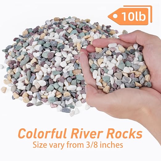 Pulovin 10 lbs Pea Gravel for Plants, Fish Tank, 3/8 inch Decorative Pebbles - Image 2