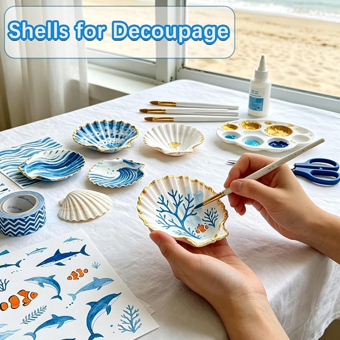20PCS Large Natural Scallop Shells 4-5 Inch White - Image 3