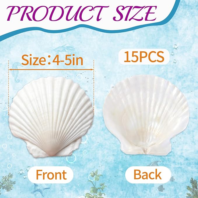 QEQEKAKA 15PCS Large Scallop Shells - Image 2