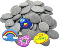 lifetop 50PCS Painting Rocks, Natural DIY Rocks Flat & Smooth Kindness Rocks by lifetop