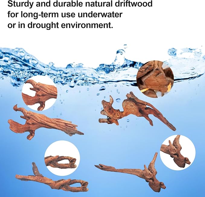Natural Driftwood Decor for Aquarium Decorations Reptile Tank Accessories - Image 4