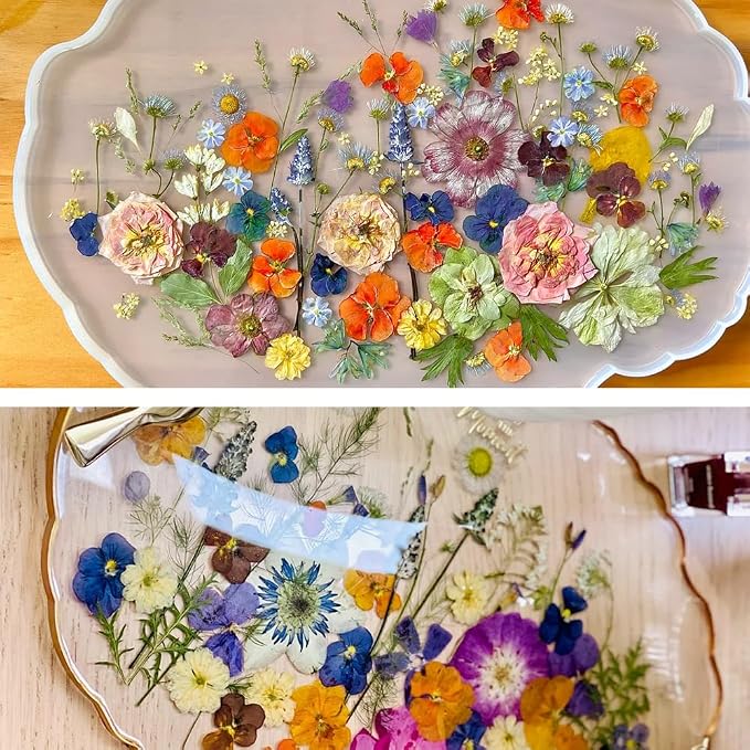 80Pcs Pressed Flowers, Dried Flowers Natural Pressed Flowers Bulk - Image 4