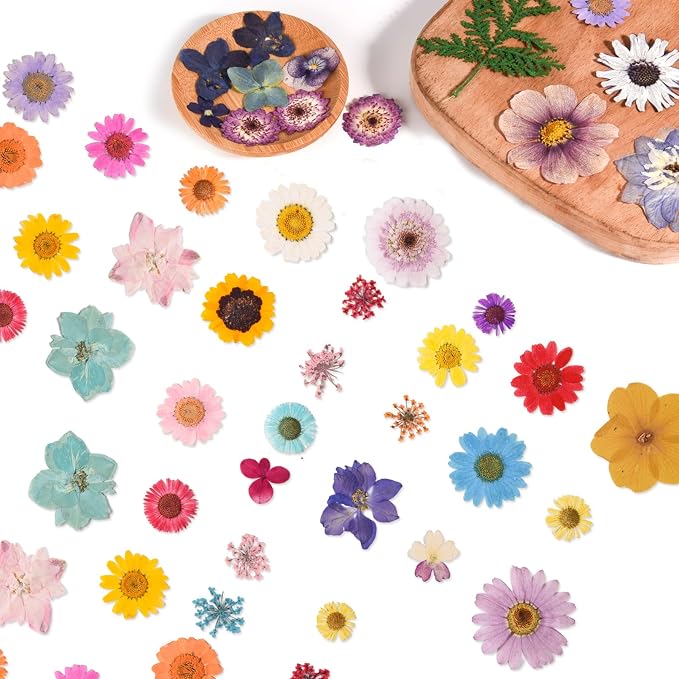 80PCS Multicolor Pressed Dried Flowers Dry Leaves | - Image 3