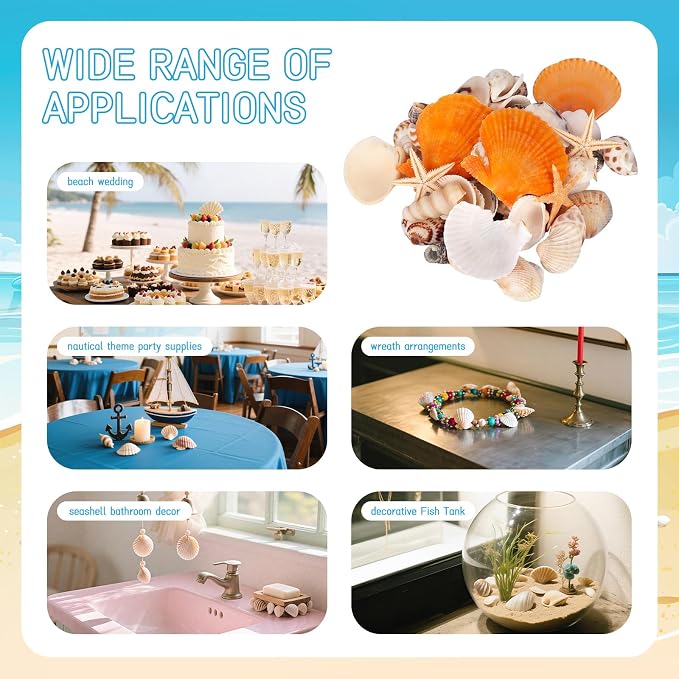 WEOXPR Mixed Sea Shells, 150+ Pcs Beach Seashells Starfish, Various Sizes Ocean - Image 7