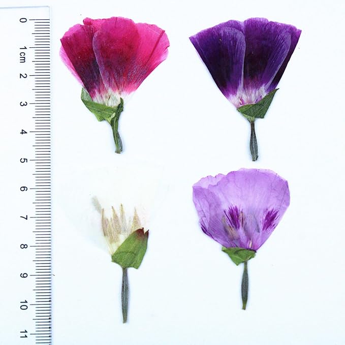 48 Pcs Dried Pressed Flowers for Crafts Art Resin DIY Natural Dry Floral Epoxy - Image 6