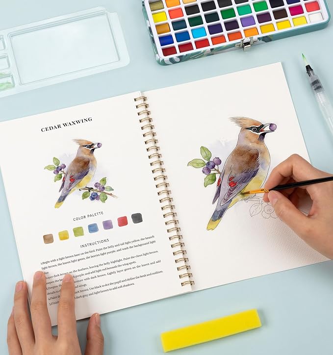 Watercolor Workbook Birds, Water Coloring Book, 12 Different Patterns of - Image 7