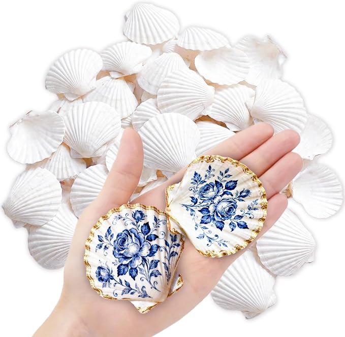 60PCS Natural Scallop Shells for Crafts, 2-3 Inch White Sea Shells for by Unknown