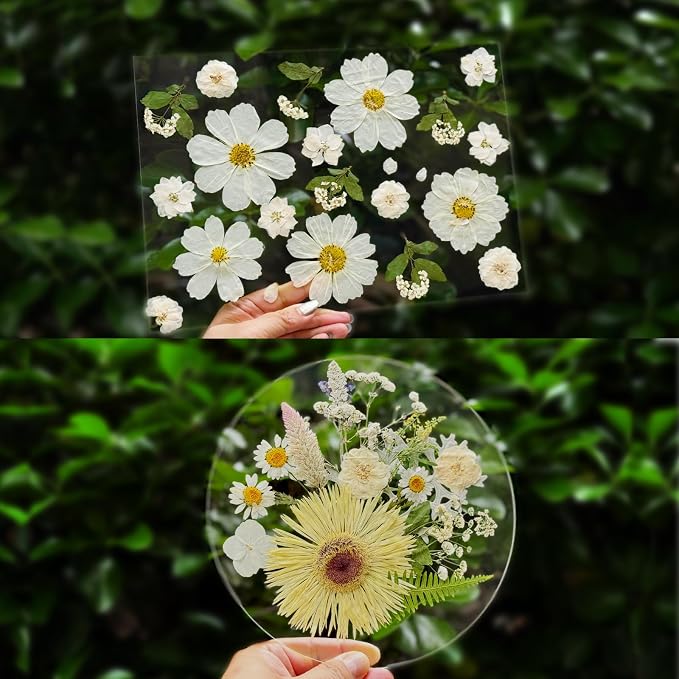 A4 Large Dried Pressed Flowers for Resin Pressed Flowers Real Dry Natural - Image 4