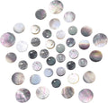 SUNNYCLUE 1 Box 40Pcs 4 Sizes Shell Charm Flat Round Natural Black Lip Seashell by SUNNYCLUE