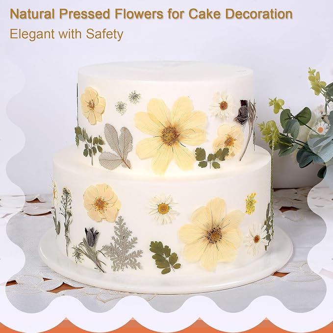 12“ Large Dried Pressed Flowers - Image 5