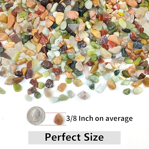 YISZM 5LB Succulent and Cactus Colorful Pebbles, 3/8 Inch Pebbles - Image 4