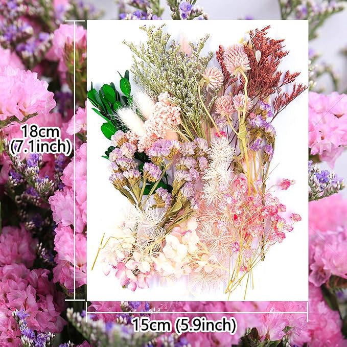 Vignee Real Dried Pressed Leaf Flowers-Multiple Colorful Pressed Flowers Daisies - Image 2