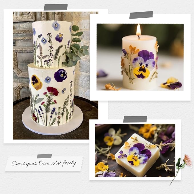 60Pcs Dried Pressed Pansies Flowers - Image 4