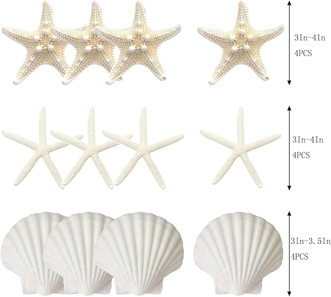 JQAQJU 3-4 Inches Large Starfish and Scallop Shells - Image 3