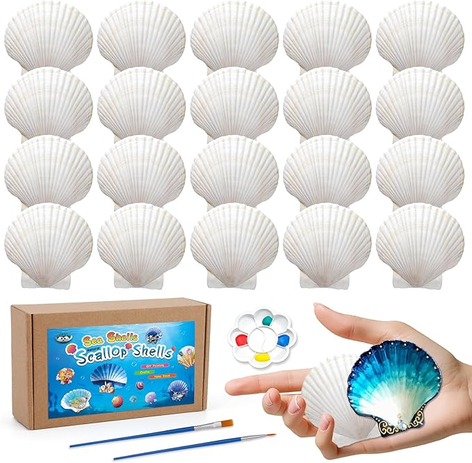 MORFEN 20 PCS Scallop Shells Seashells by MORFEN