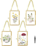 FOCHIER F 4 Pcs Pressed Flower Frame by FOCHIERF