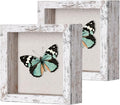 2 Packs 5x5 Shadow Box Frame by Califortree