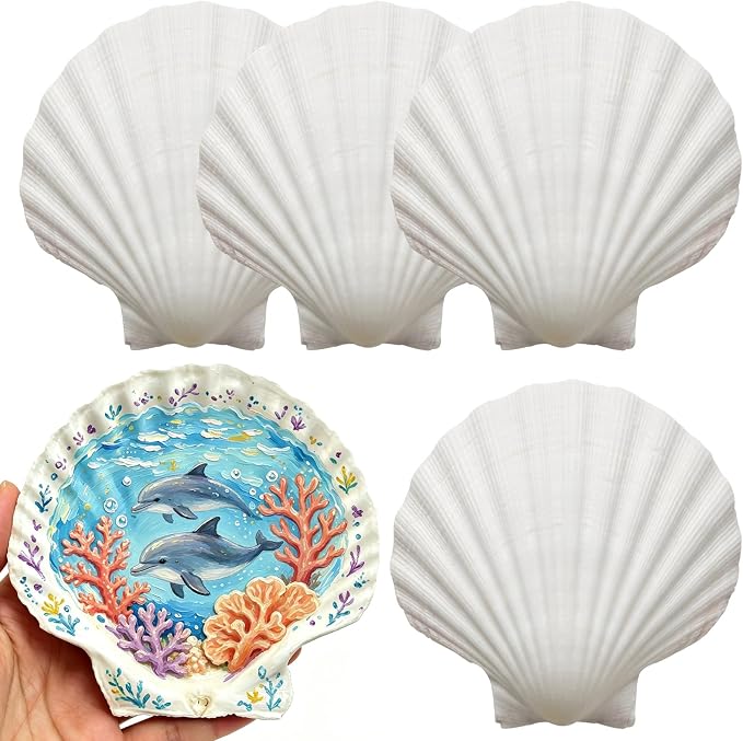 20PCS Extral Large Scallop Shells 5-6 Inch White by Unknown