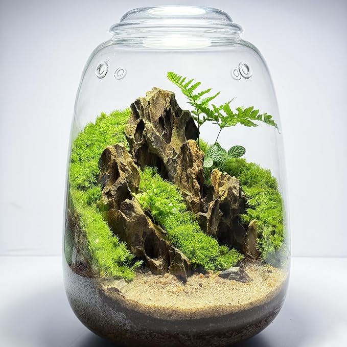 Natural Rocks Dragon Stone 1-2.5 Inches Decorative Rocks - Image 5