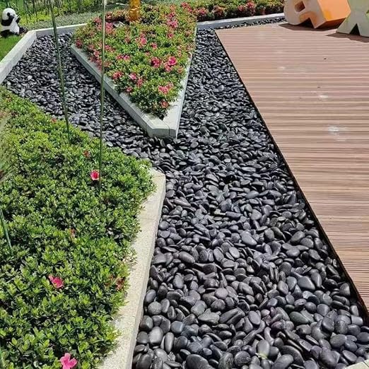 YISZM 10lbs Black Pebbles for Plants, 2-3 Inch High Polished Natural Large - Image 3