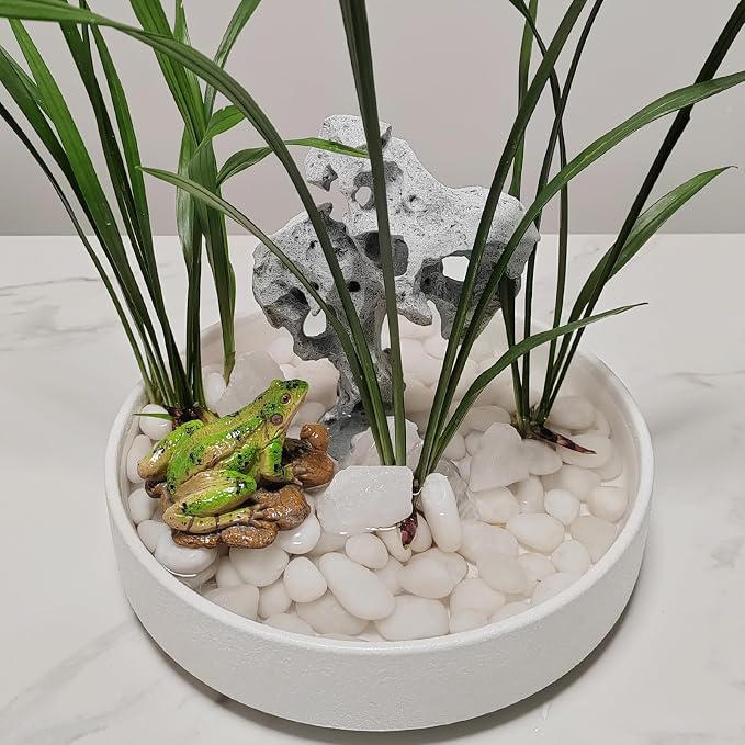FANTIAN 10 lbs White Rocks for Landscaping, 1-2 Inch Small Pebbles for Indoor - Image 5