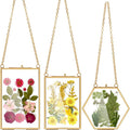 AVLA 3 Pack Pressed Flowers Glass Frames, Brass Hanging Picture Frames by AVLA