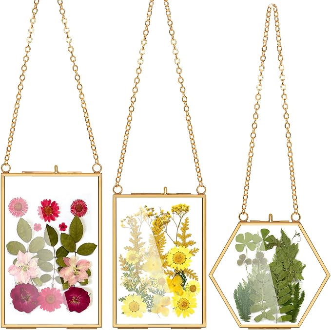 AVLA 3 Pack Pressed Flowers Glass Frames, Brass Hanging Picture Frames by AVLA