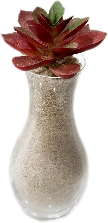 2 Pounds Natural Decorative Real Sand - Image 6