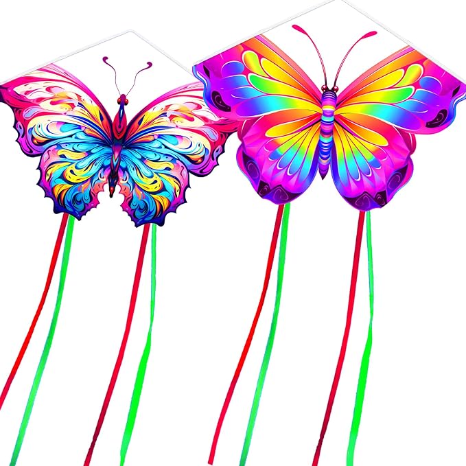 HENGDA KITE 2 Pack Butterfly Kite, by HENGDAKITE