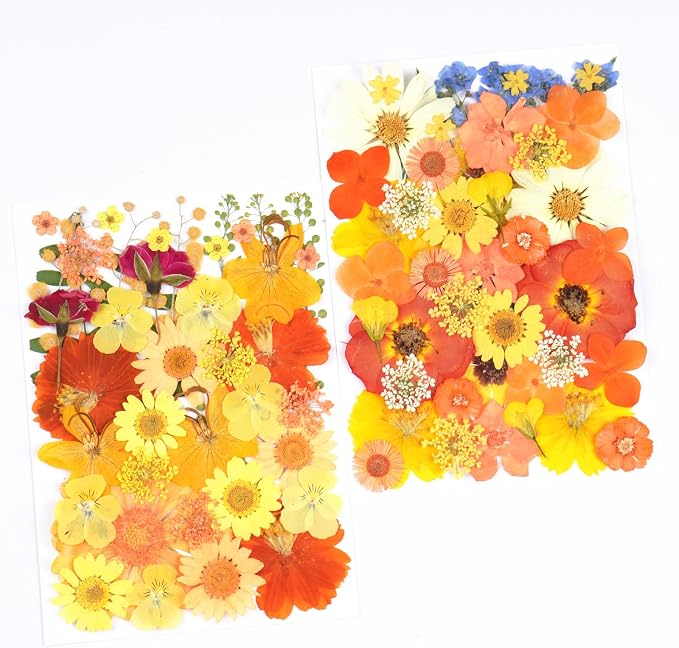 96Pcs Fall Dried Pressed Flowers - Image 3